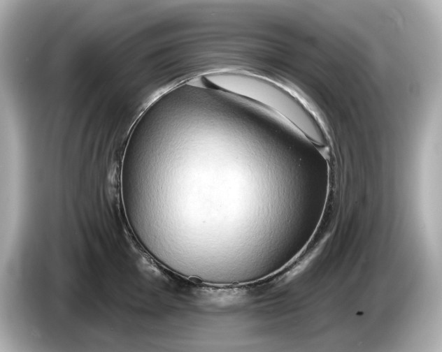 X0000086001001200704091034