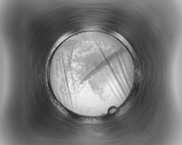 X0000086001002200704091034