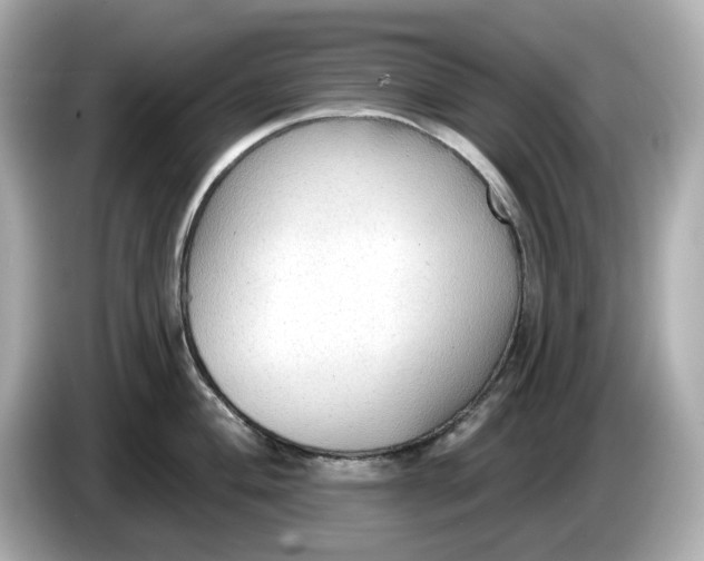 X0000086001004200704091034