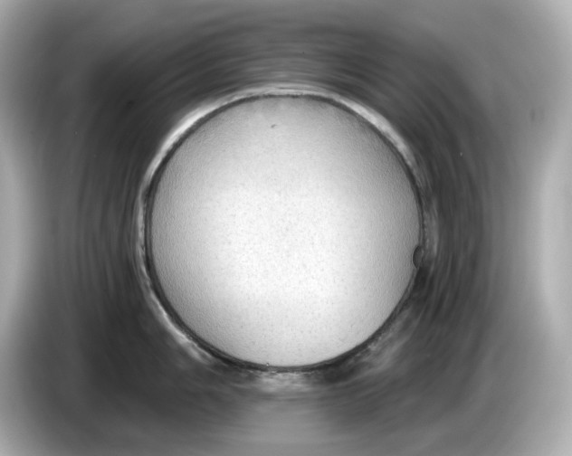 X0000086001006200704091034