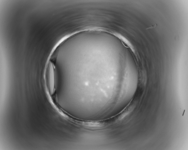 X0000086001007200704091034