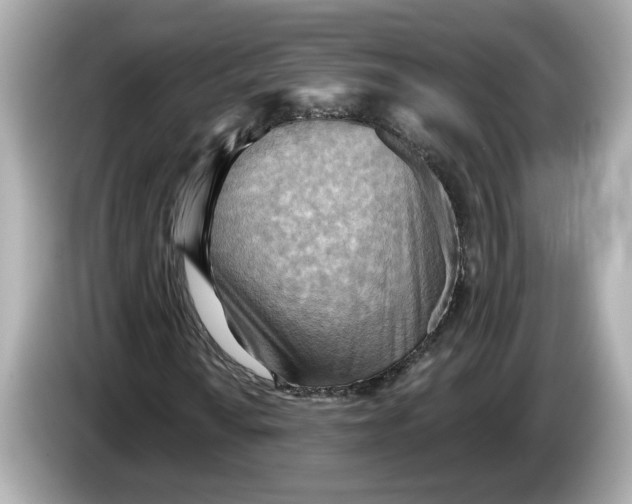 X0000086001010200704091033