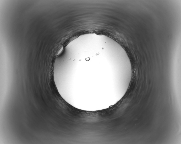 X0000086001012200704091033