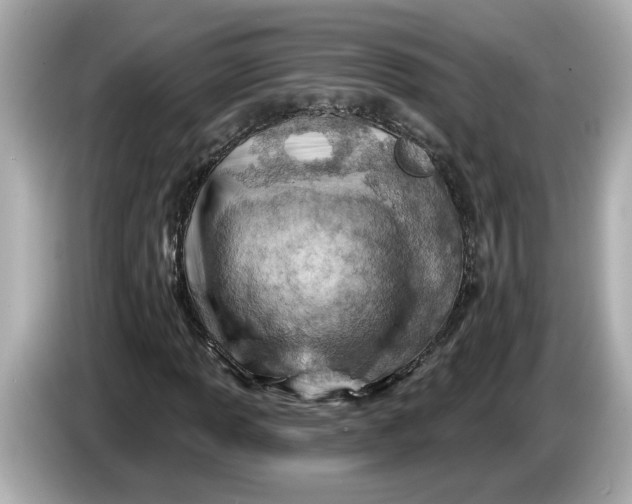 X0000086001013200704091033