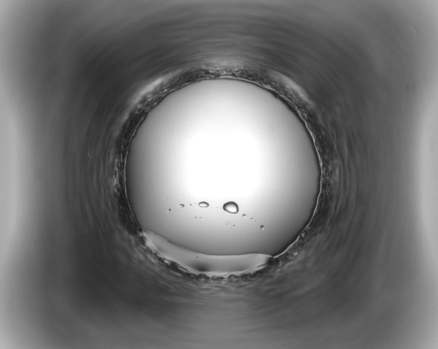 X0000086001016200704091033