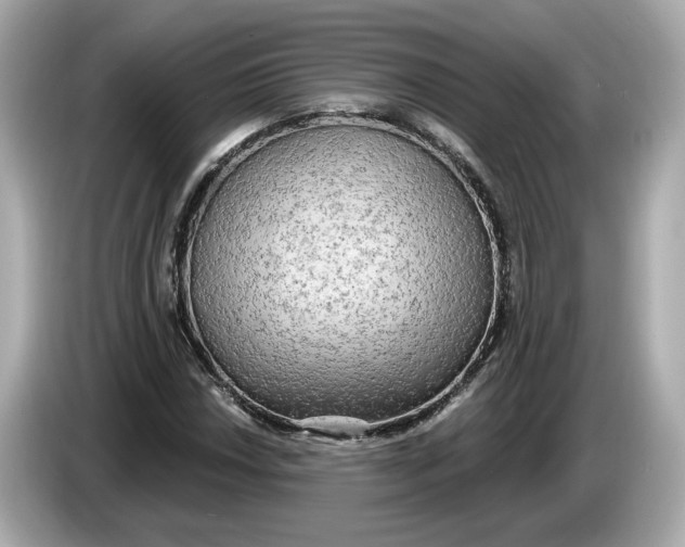 X0000086001018200704091033