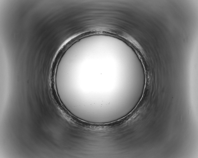 X0000086001020200704091033