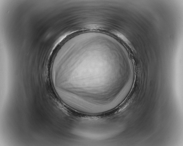 X0000086001023200704091033