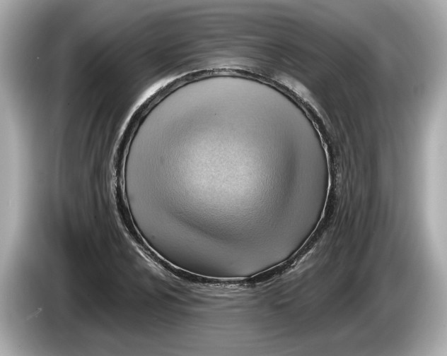 X0000086001024200704091034