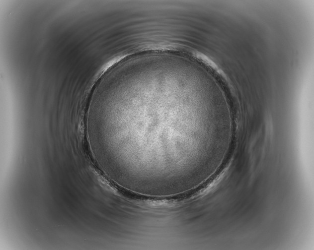 X0000086001025200704091034