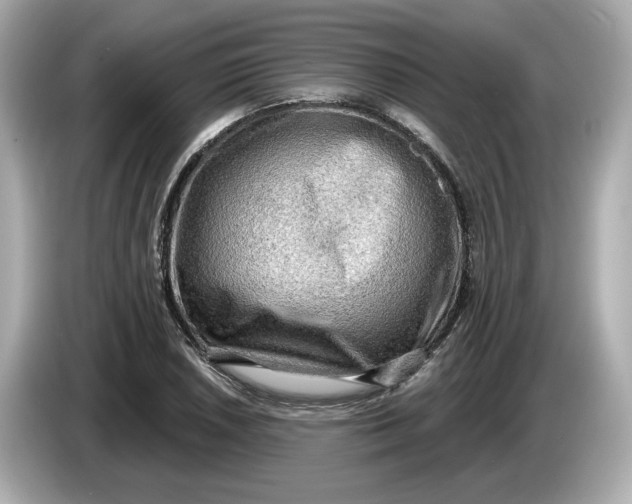 X0000086001026200704091034