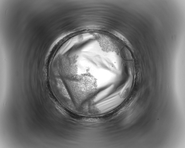 X0000086001027200704091034