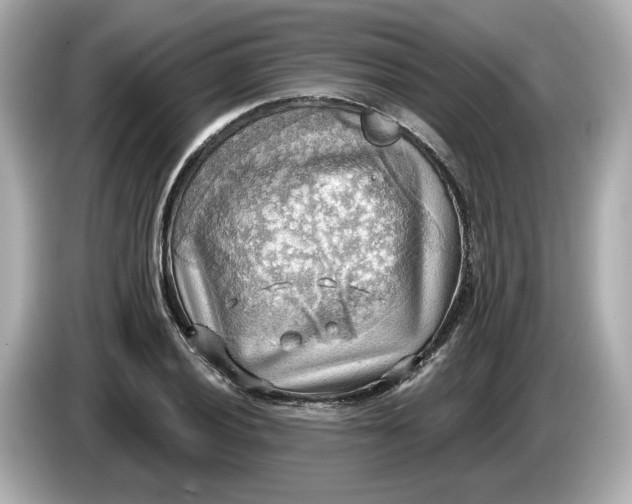 X0000086001028200704091034