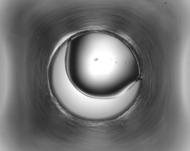 X0000086001030200704091034