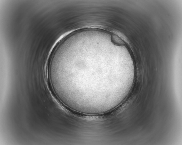 X0000086001032200704091034