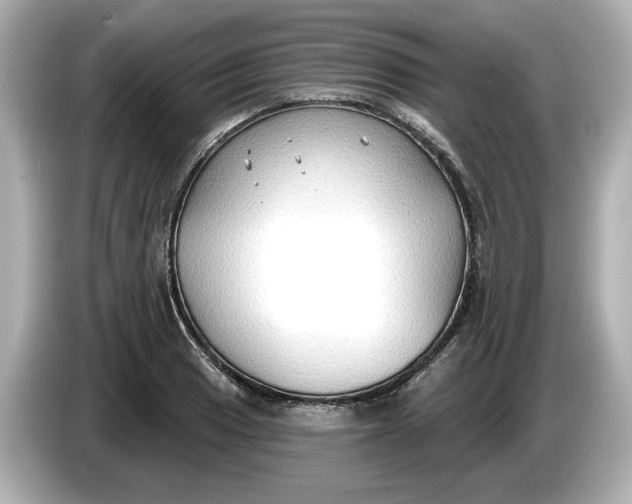 X0000086001033200704091034