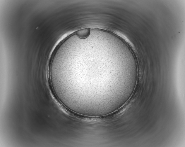 X0000086001040200704091034