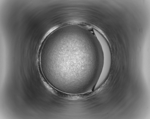 X0000086001042200704091034