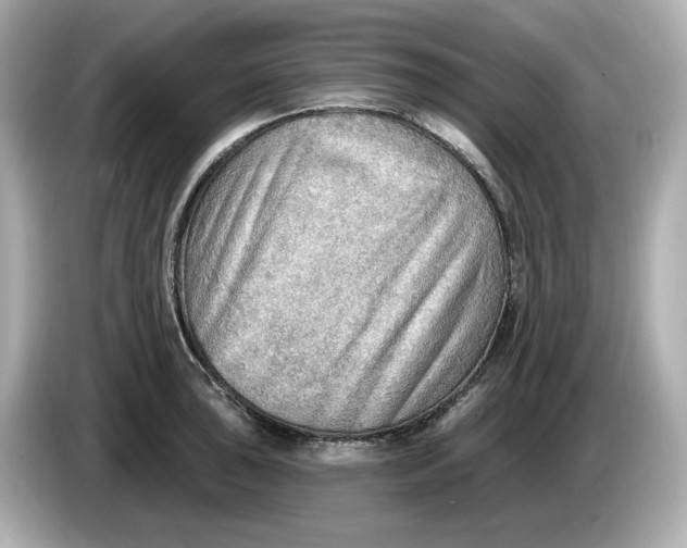 X0000086001043200704091034