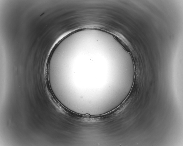 X0000086001044200704091034