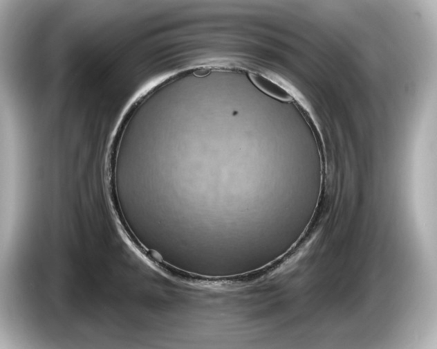 X0000086001045200704091034