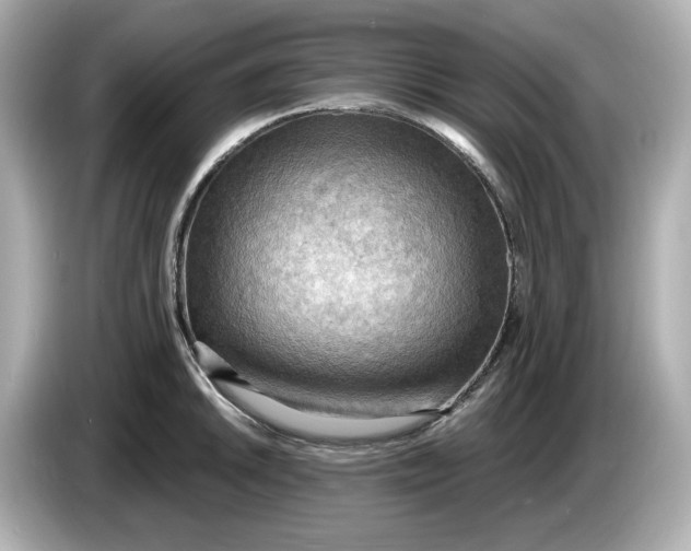 X0000086001046200704091034