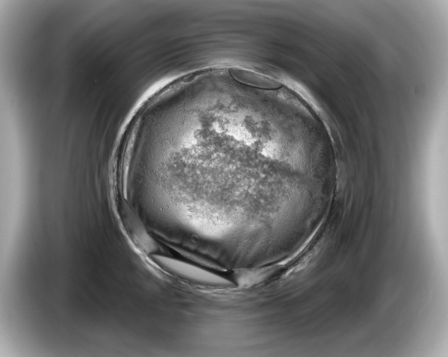 X0000086001048200704091034