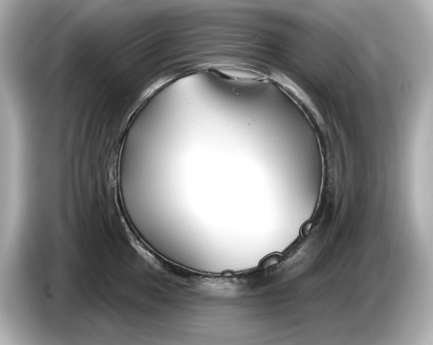 X0000086001049200704091034