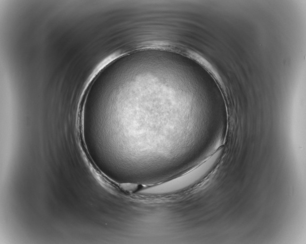 X0000086001050200704091034