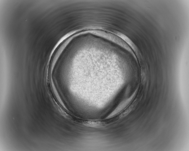 X0000086001052200704091034