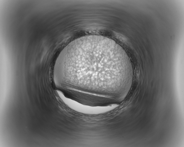 X0000086001060200704091033