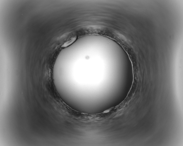 X0000086001061200704091033