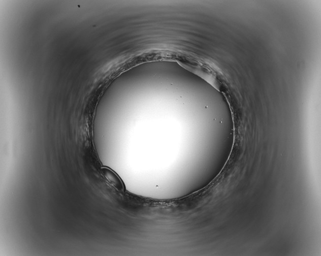 X0000086001062200704091033