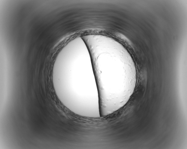 X0000086001064200704091033