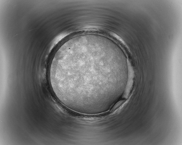 X0000086001066200704091033