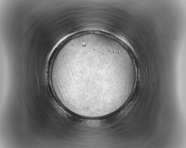 X0000086001068200704091033