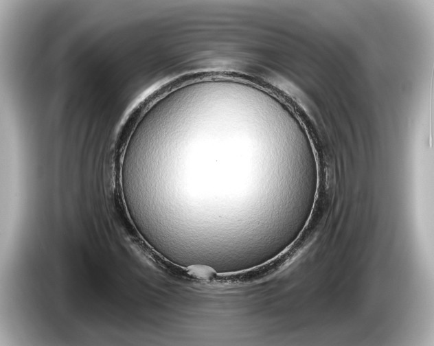 X0000086001069200704091033