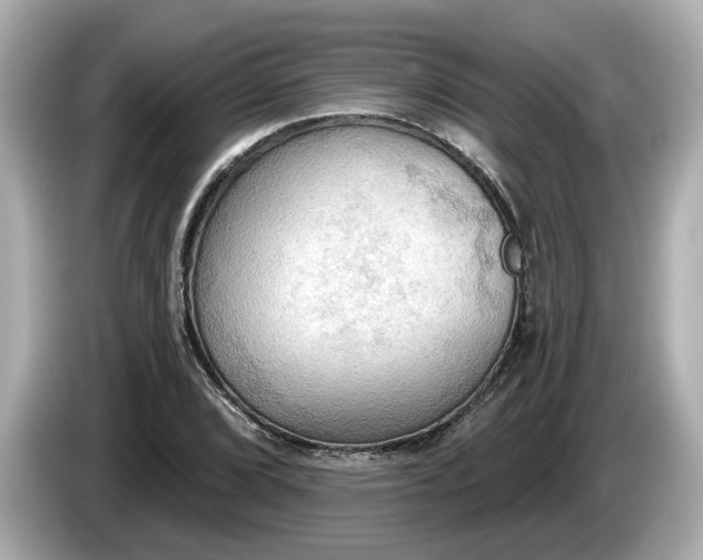 X0000086001072200704091033