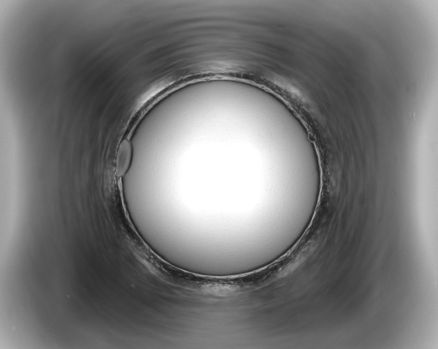 X0000086001073200704091033