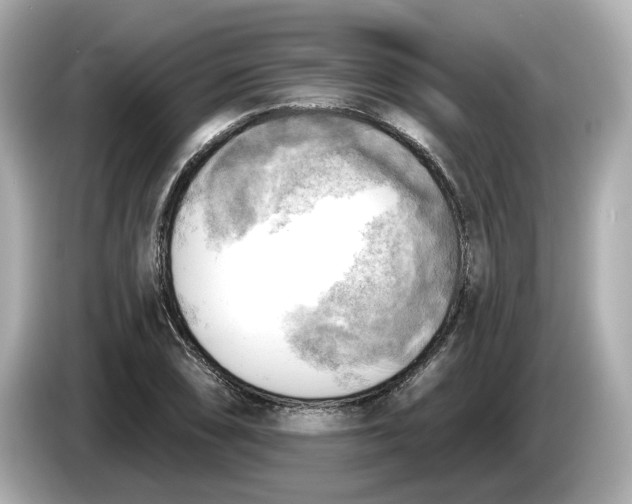 X0000086001074200704091033