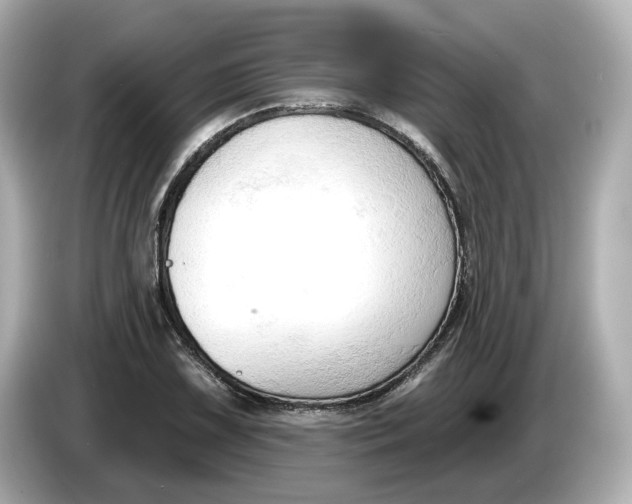 X0000086001075200704091033