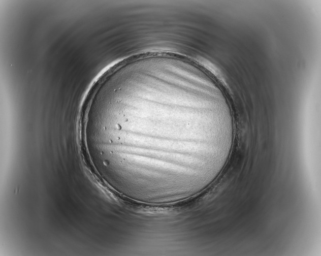 X0000086001076200704091033