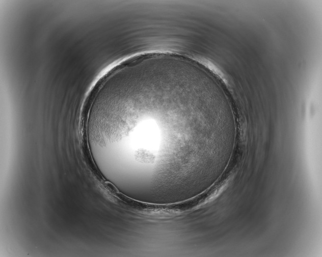 X0000086001077200704091033