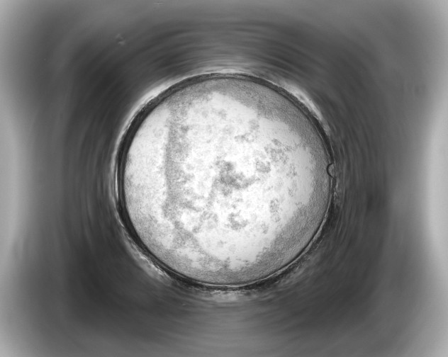 X0000086001080200704091033