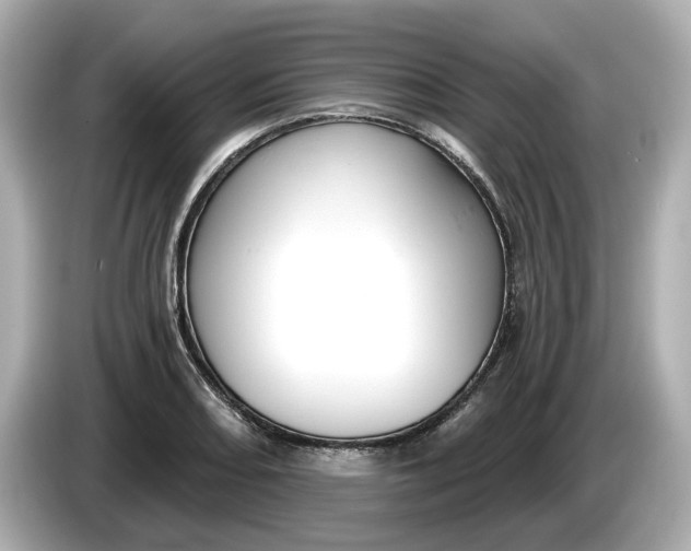 X0000086001082200704091033