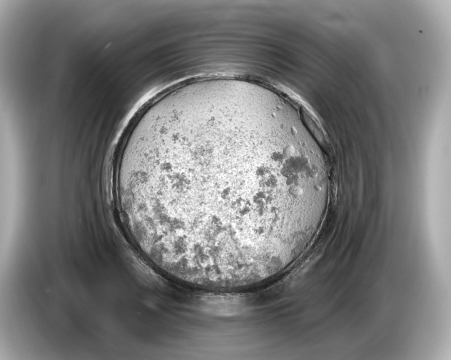 X0000086001083200704091033