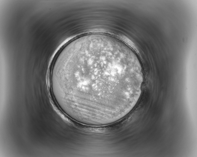 X0000086001084200704091033