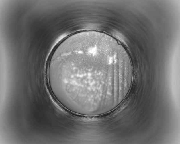 X0000086001087200704091033