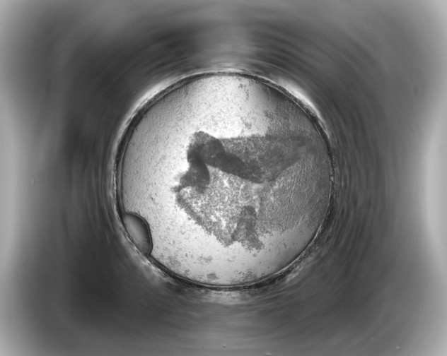 X0000086001088200704091033