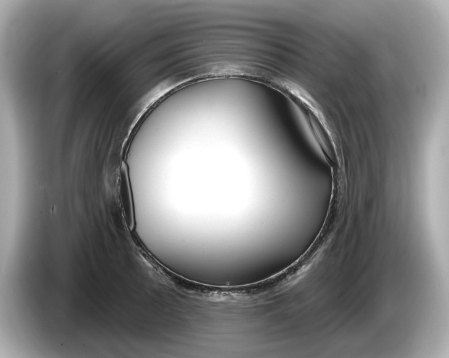 X0000086001089200704091033